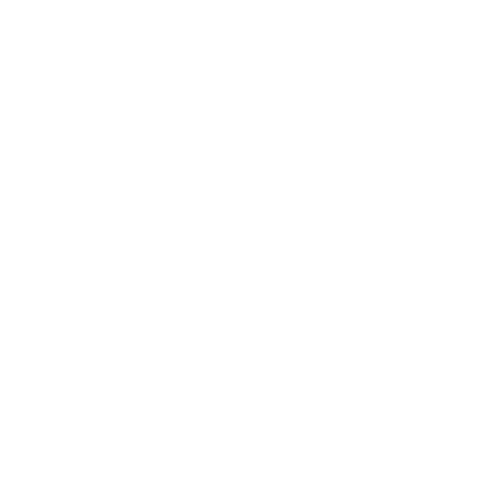 Bear, the Bearium Networks mascot